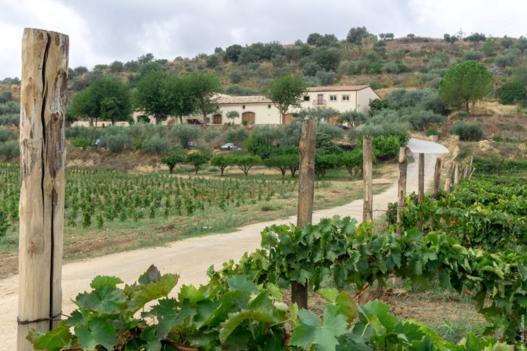 Il Merano WineFestival premia Tenuta Valle delle Ferle | Sicilia da Gustare