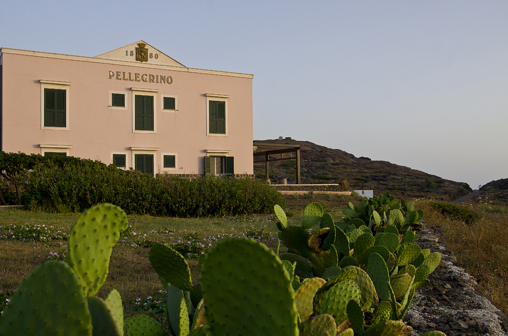 Nes Passito di Pantelleria | Sicilia da Gustare